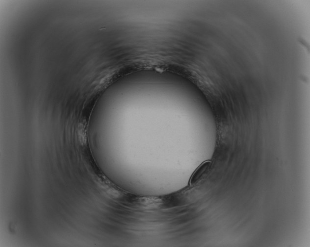 X0000091660719200709131510