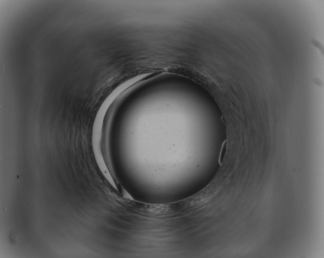 X0000091660720200709131510