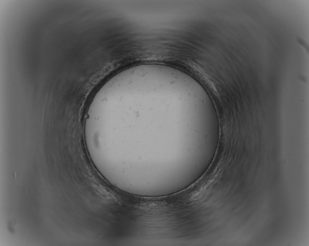 X0000091660721200709131509