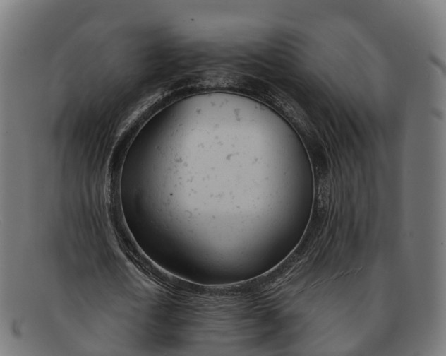 X0000091660722200709131509