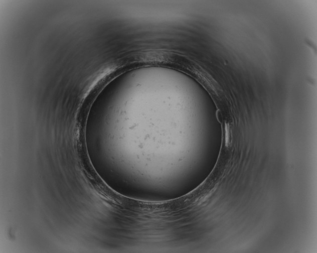 X0000091660723200709131509