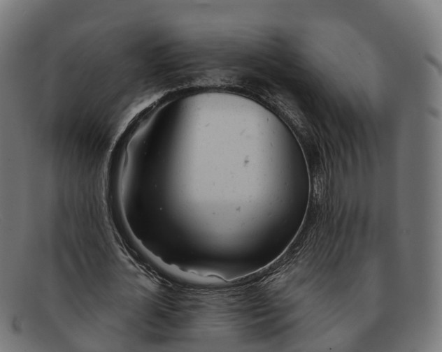 X0000091660724200709131509