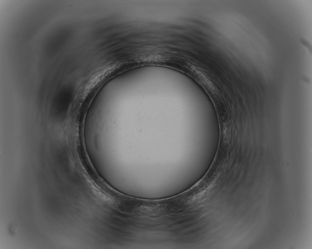 X0000091660725200709131509