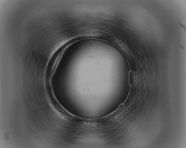 X0000091660726200709131509