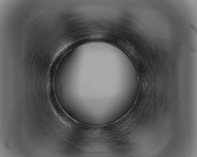 X0000091660728200709131509