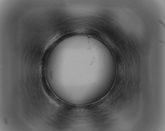 X0000091660730200709131509