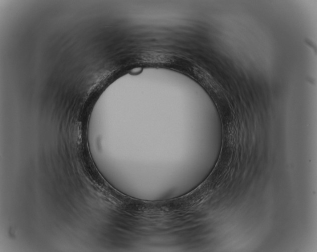 X0000091660731200709131509