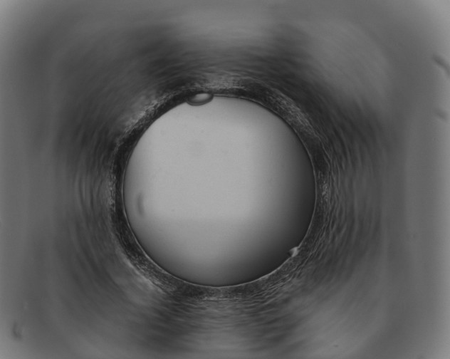 X0000091660732200709131509