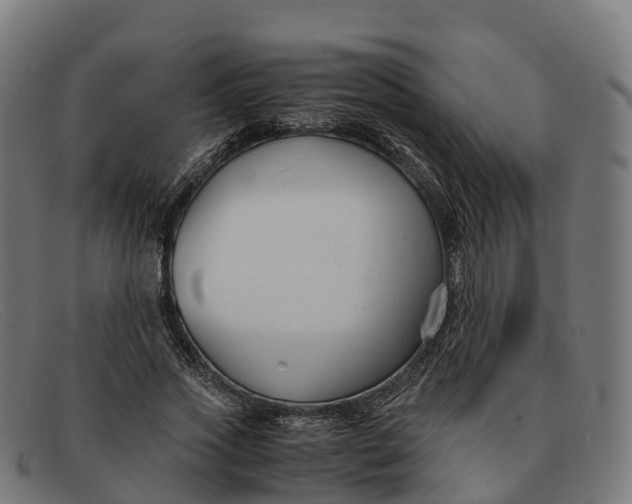 X0000091660733200709131509