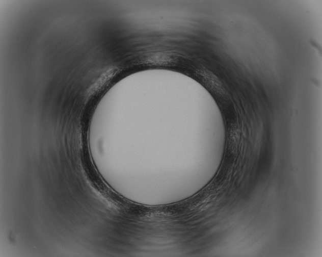 X0000091660734200709131509