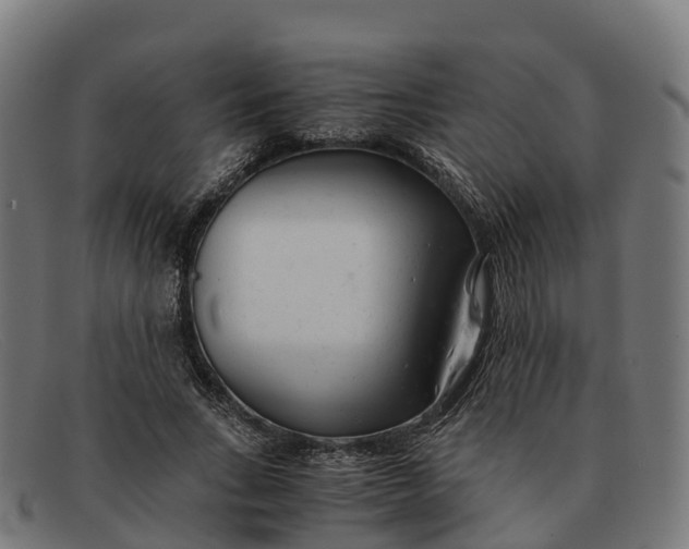 X0000091660735200709131509