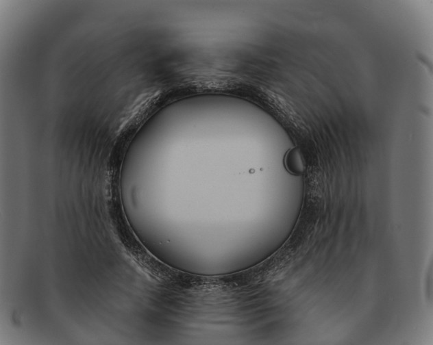 X0000091660738200709131509