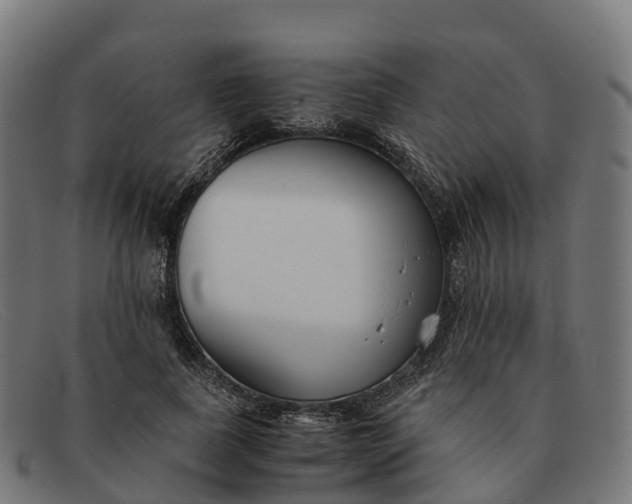 X0000091660739200709131509