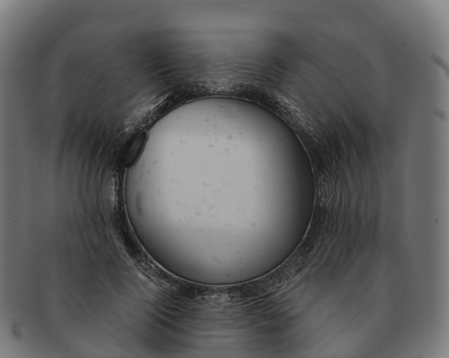 X0000091660740200709131509