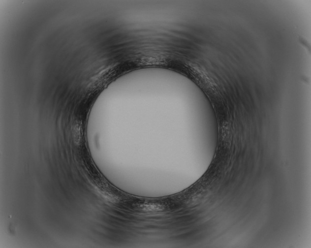 X0000091660741200709131509