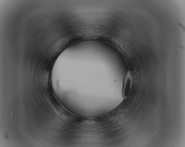 X0000091660742200709131509