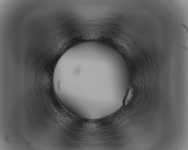 X0000091660743200709131509