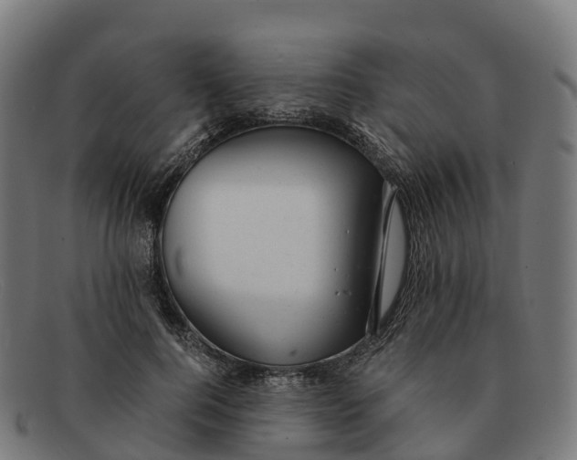 X0000091660744200709131509