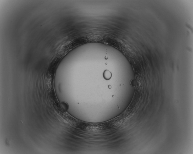 X0000091660745200709131509