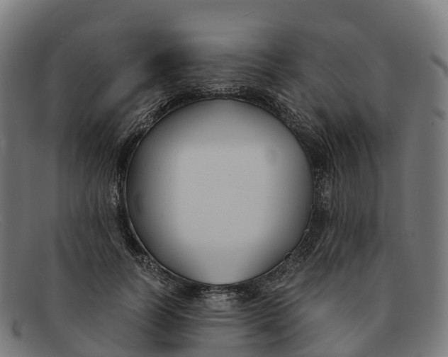 X0000091660746200709131509