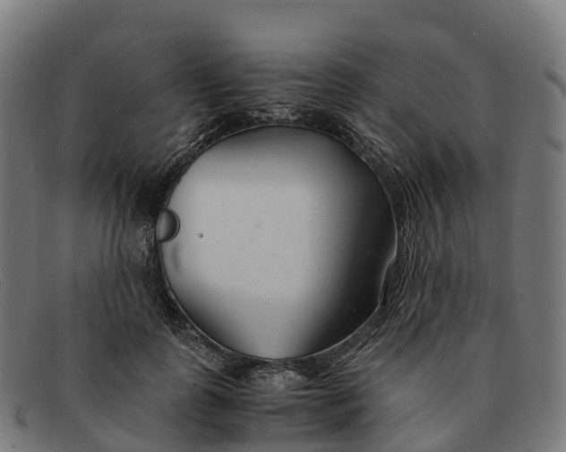 X0000091660747200709131510