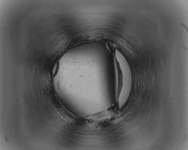 X0000091660748200709131510