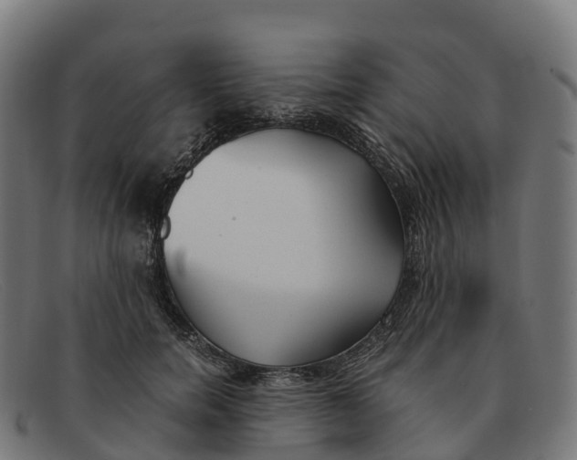 X0000091660750200709131510