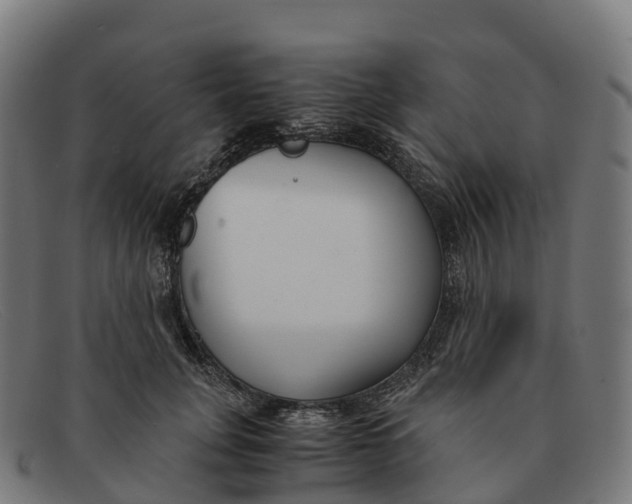 X0000091660751200709131510