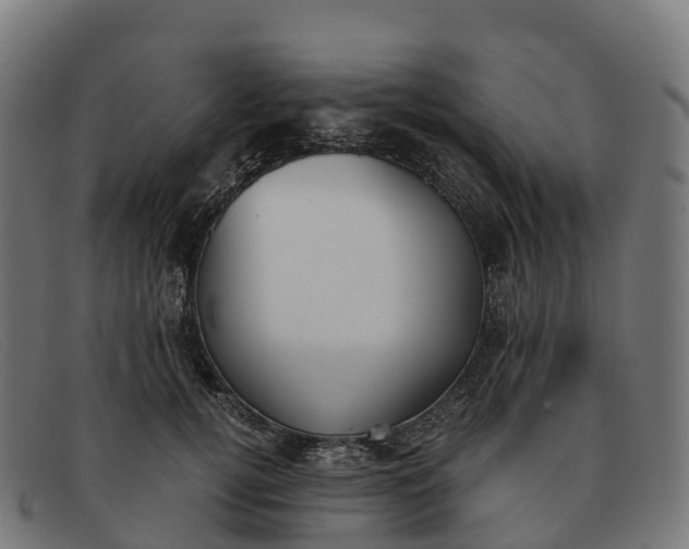 X0000091660752200709131510