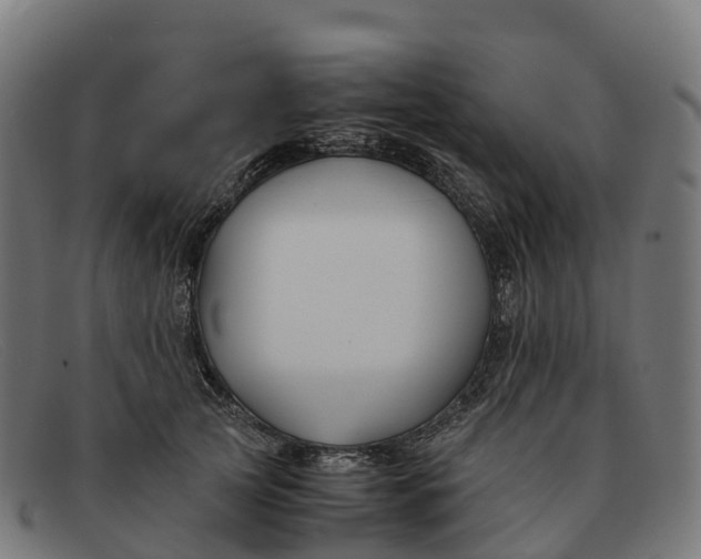 X0000091660753200709131510