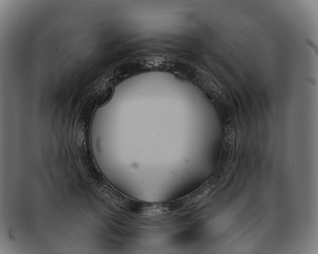 X0000091660754200709131510