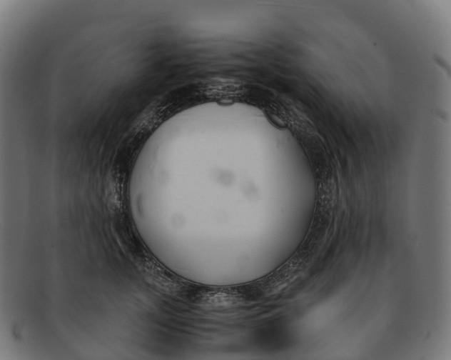 X0000091660755200709131510