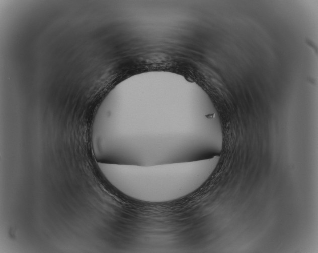 X0000091660756200709131510