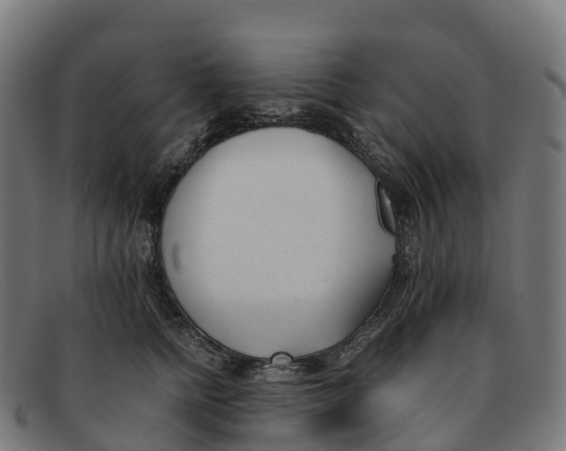 X0000091660758200709131510