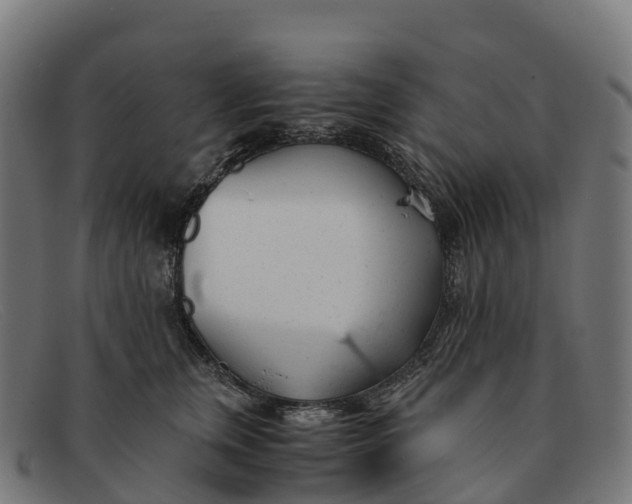 X0000091660759200709131510