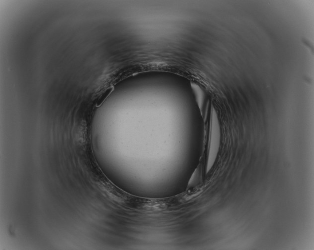 X0000091660760200709131510