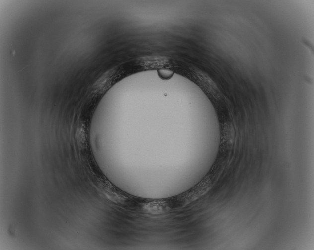 X0000091660761200709131510