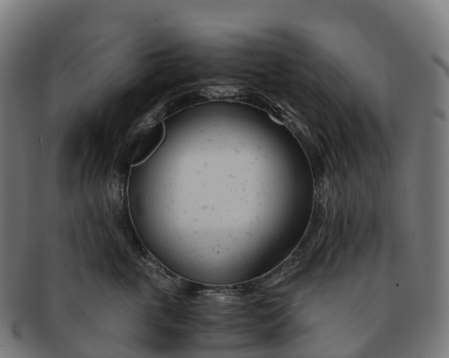 X0000091660763200709131510