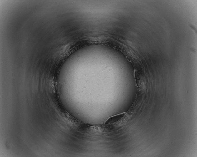 X0000091660764200709131510