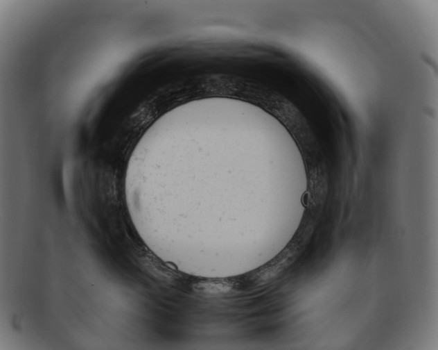 X0000091660765200709131510