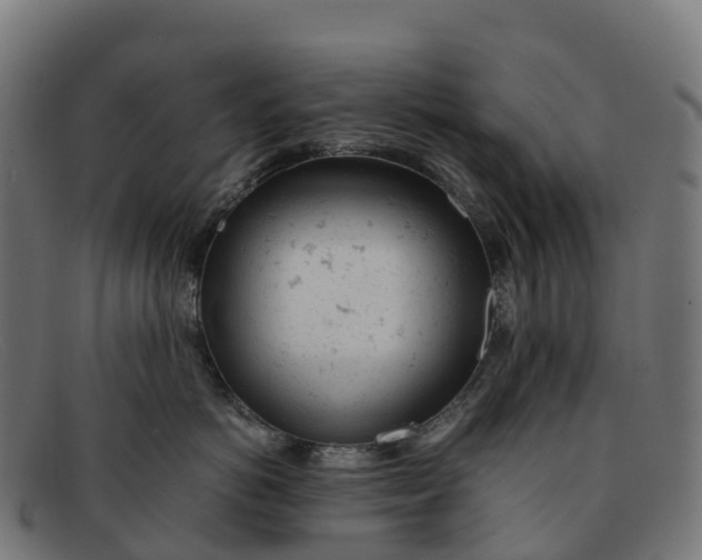 X0000091660766200709131510