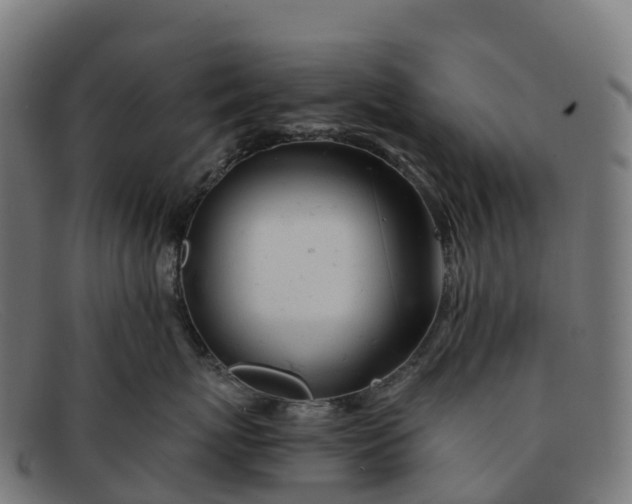 X0000091660767200709131510