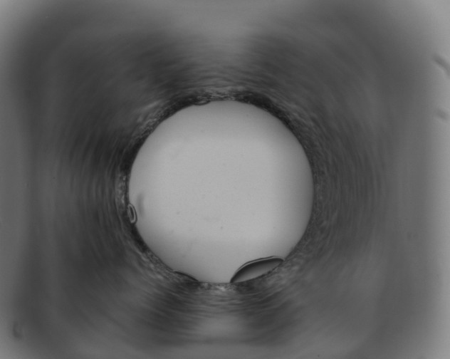 X0000091660768200709131510