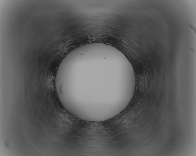 X0000091660770200709131509