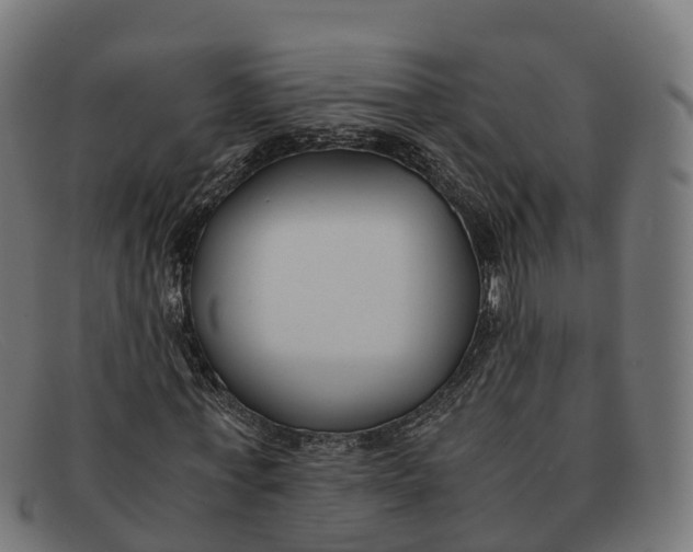 X0000091660771200709131509