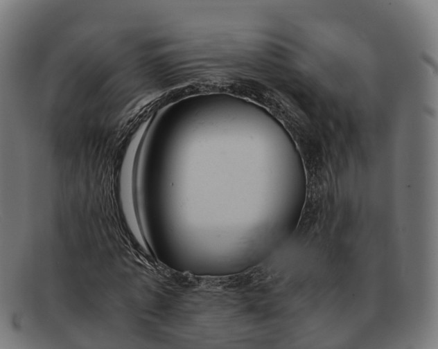 X0000091660773200709131509