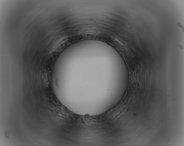 X0000091660774200709131509