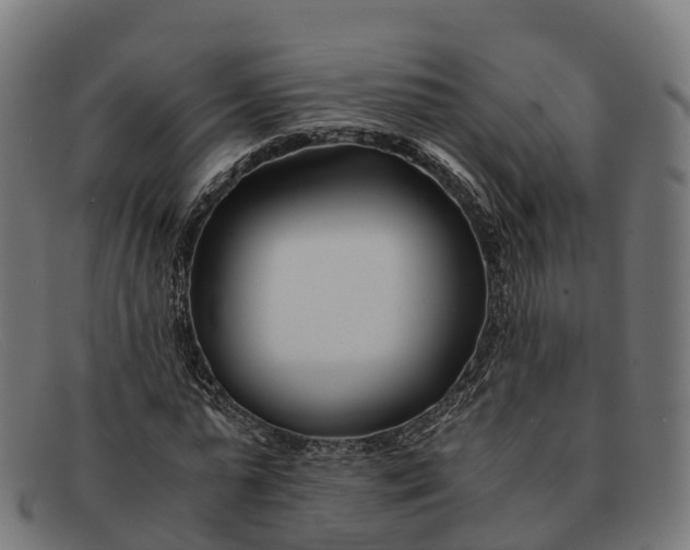 X0000091660775200709131509