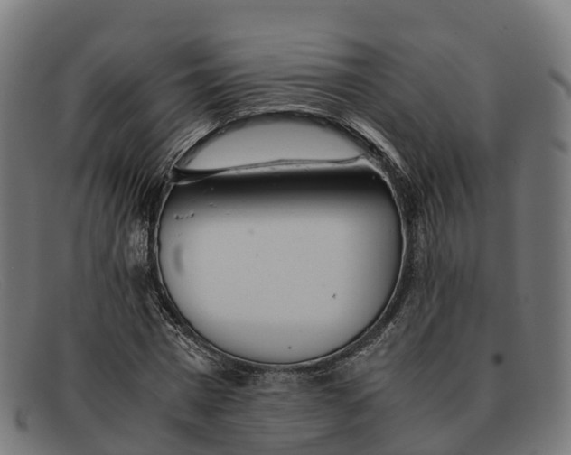 X0000091660777200709131509