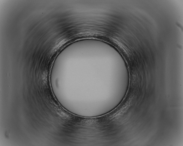 X0000091660778200709131509